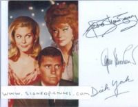 BEWITCHED CAST SIGNED AUTOGRAPHED 6x8 PHOTO