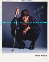 TIGER WOODS PROMO AUTOGRAPHED PHOTO, TIGER WOODS PROMO SIGNED 8x10 PICTURE