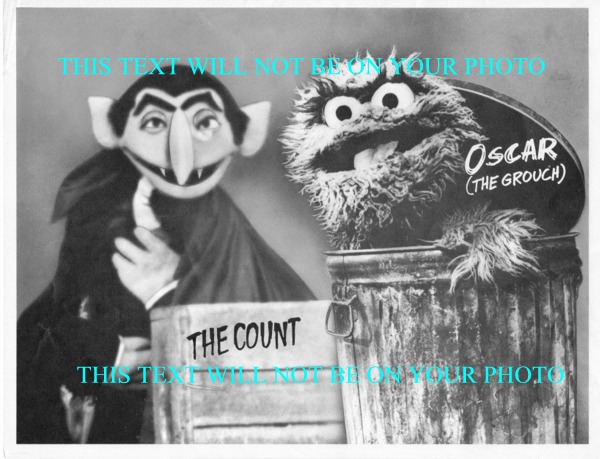 SESAME STREET OSCAR THE GROUCH AND THE COUNT CAST PHOTO