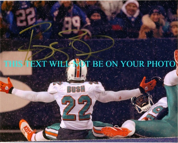 REGGIE BUSH AUTOGRAPHED PHOTO MIAMI DOLPHINS, REGGIE BUSH SIGNED PHOTO, REGGIE BUSH AUTO