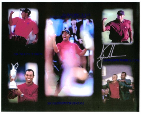 TIGER WOODS SIGNED 8x10 PHOTO